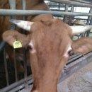 와우한우농장 이미지