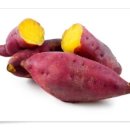 원종화장품 이미지