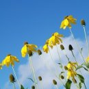 부천제일요양병원 이미지