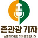 솔다박 이미지