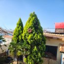 남해아라힐펜션 이미지