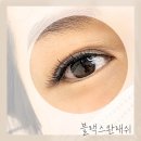 블랙스완래쉬 이미지