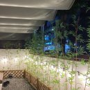 울산 무거동 야외에서 즐기는 삼겹살 호계주택 솔직 후기