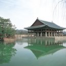 (주)진바이오테크 네이버블로그