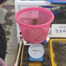 정자활어직매장 가격·회포장 리뷰 | 경주 주상절리 더킹 카페 당일치기 드라이브 코스