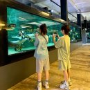 칠곡 키즈카페 러키더키 패밀리랜드 아이랑 실내 데이트