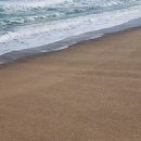 동해파도소리 이미지