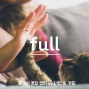 풀full코칭센타 이미지