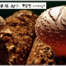 마복산농장 이미지