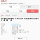 앨리스게스트하우스 | 11월: 1년을 기다린 수영 시작🏊‍♀️