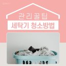 온스테이 이미지