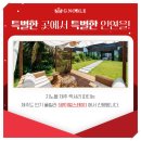 지노블 이미지