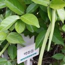 열매세탁소 이미지