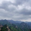 박달林 이미지