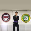 비시엠태권도 이미지