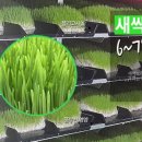 농업회사법인(주)주성 이미지