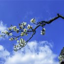 김해건설공업고등학교 이미지