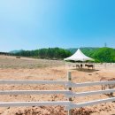 와가목장 이미지