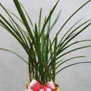 전임농장 이미지