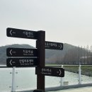 2025년 화순 명소 버스킹 | 서울대공원 벚꽃 명소, 봄꽃 축제 | 서울 근교 벚꽃, 4월 개화 상황 후기