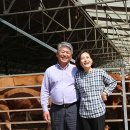 조영수농장 이미지