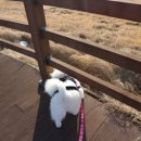 광역코스 이미지