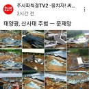 태양산림 이미지