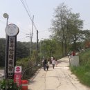 칠곡양떼목장 이미지