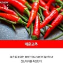 신진식품 이미지