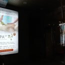 스파더정
