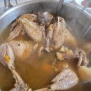 양양 오색 맛집 각두골 식당 약초 옻닭 백숙 후기