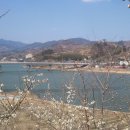 남도어린이집 이미지