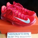 [285] 2012 하이퍼덩크 로우 버닝 레드(HyperDunk 2012 Low) 이미지