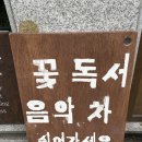 안산 중앙동 플라워티룸, 조용히 쉼이 필요할 때생각나는 곳 꽃, 시월 티룸