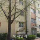 가락가스 이미지