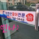 신라회센타