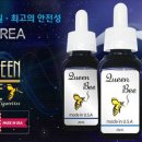 퀸비 이미지