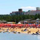 대전해수욕장3 이미지