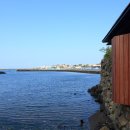 눈먼고래 이미지