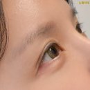 대구 가성비속눈썹 제인라인코리아 속눈썹펌 후기