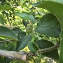 우박이네 이미지