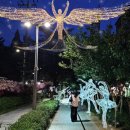 나비특화거리 이미지