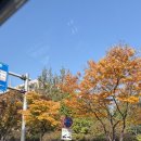 정문호소아과의원 이미지