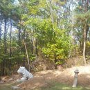 효자동 박태성정려비및묘 이미지