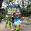 2025.2. 🇺🇸 Orlando Day 3: 디즈니 월드 파크 호퍼-애니멀 킹덤, 앱콧 🔭