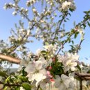 문경시농업기술센터 이미지