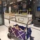 뷰티애비뉴고아라강서점 | 돌준맘 돌잔치의상 드레스?한복? 피팅후기 (애비뉴파티)