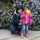 은실농장 이미지