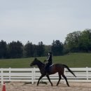 아띠모리 이미지