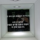 스라소니그래픽